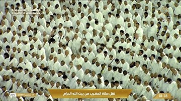 سورة الشرح | الشيخ الوليد الشمسان