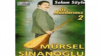 Mürsel Sinanoğlu - Ne Bilem Resimi