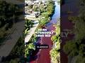 River Mysteriously Turns Bright Red River Mysteriously Turns Bright Red