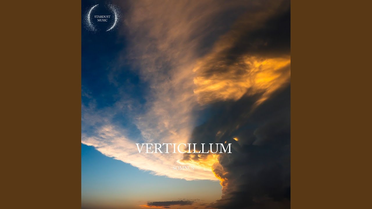 Watch Verticillum on YouTube Watch Verticillum on YouTube