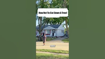 How NOT to fall a Tree near House #treefelling #logging #chainsawman