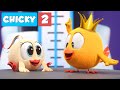 Where's Chicky? NEW EPISODE | CHICKY THE KING | Chicky Cartoon in English for Kids