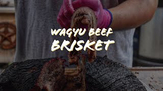 THE BEST BRISKET | Snake River Farms Wagyu | Gulf Coast Smoke