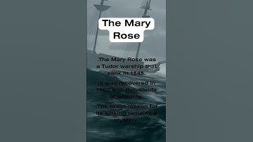 The Mary Rose Mystery🤔#mystery #deep #viral #fyp