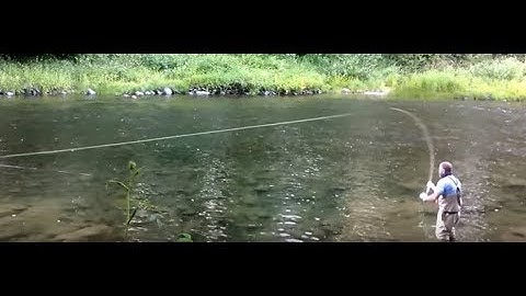 Skagit Casting and Scandinavian Spey Casting - Sage Method