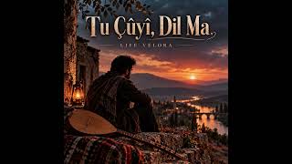 Tu Çûyî, Dil Ma Kurdish Song • Emotional Kurdish Love Song Life Velora