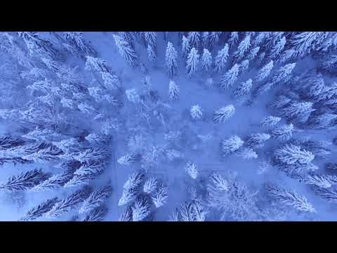 Video: Onko talvi 2019-2020 kylmä Pietarissa?