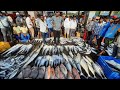 मुंबईत होणारा सर्वात मोठा माश्याचा लिलाव | ससुन डॅाक | Life On Sasoon Dock | Biggest Fish Market