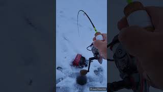 BIG LAKE TROUT ICE FISHING