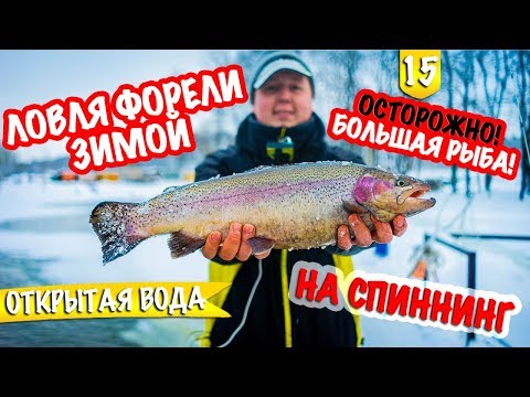 Это ЛОСОСЬ!!! Это не Форель! Зимний спиннинг в -20 С