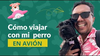 CÓMO PUEDO LLEVAR A MI PERRO EN AVIÓN CON MI PERRO Perrhijos Requisitos para volar con mi perro