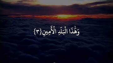 ياسر الدوسري(سورة التين)