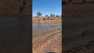 Tricky river crossing BMW 1250 GSA Trophy. Motorcycle Adventure fun