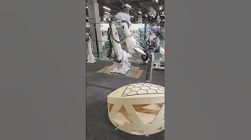 Big 3D Printing Robot #entertainment #awesome #mesmerizing