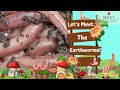 Lets meet the earthworms   online preschool educational for kids