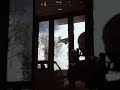 SPACEPORT VAPORIZERS W/ #MooZeR | #fox_named_sailor on #Twitch