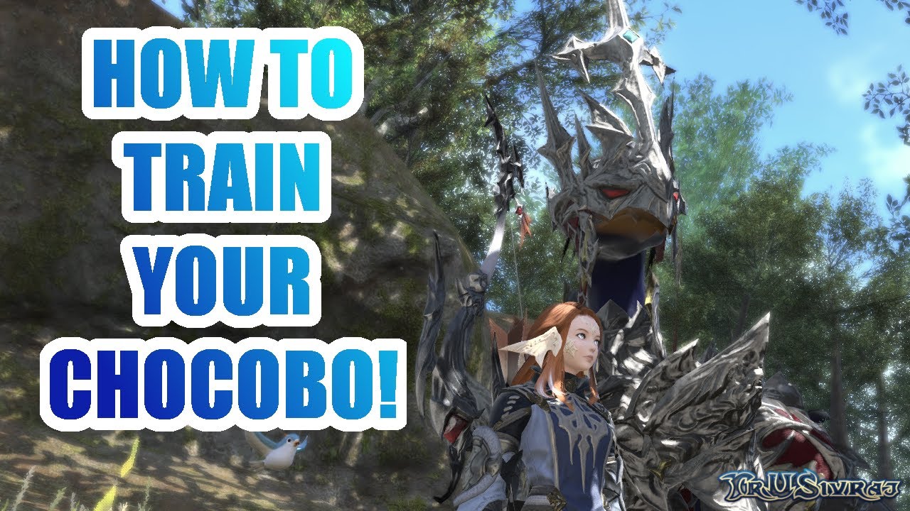 ffxiv-how-to-train-your-chocobo-all-cutscenes-youtube