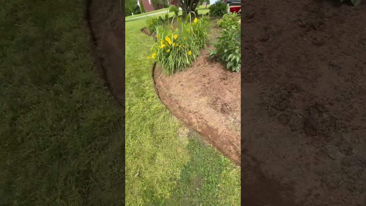 Reestablished Natural Edge Border For Landscape Island Navy Veteran Kentucky