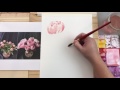 Watercolor basic peonies tutorial