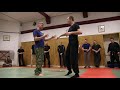 Bujinkan meets Systema - 04 Shashka work