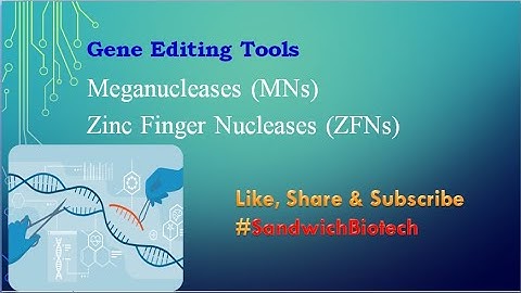 Gene Editing Tools #Meganucleases (MNs) #Zinc Finger Nuclease (ZFNs)