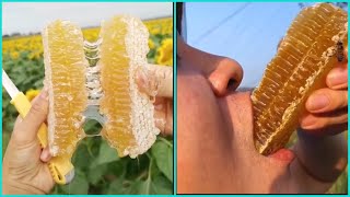 MOST Satisfying Honey Extracting, Uncapping video| ODDLY SATISFYING COMPILATION!!!