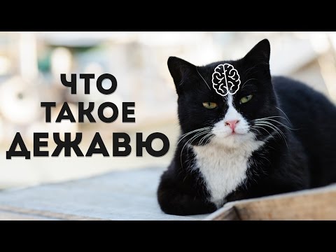 ДЕЖАВЮ - что такое эффект дежавю?
