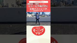 避難生活にご活用を　ヒジ&膝曲げずに　全身のストレッチ　片岡信和【羽鳥慎一モーニングショー】#shorts