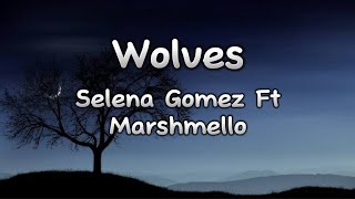 *Wolves-Selena Gomez Ft Marshmello (Lyrics)*