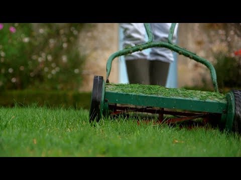 Vidéo: Quand tondre l'herbe après avoir engazonné ?