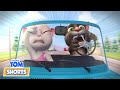 Hit the Road 🚗 Talking Tom Shorts | Cartoons for Kids