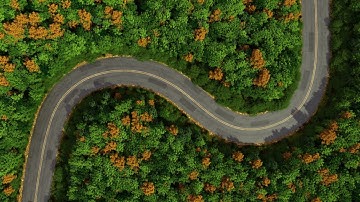 Forest Road Animation || Blender || 3D || CYCLES