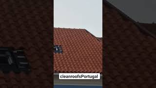 #coimbra #limpar #aveiro #telhados #portugal #limpeza