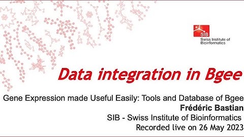 Data integration in Bgee - May 2023 (3 of 5)