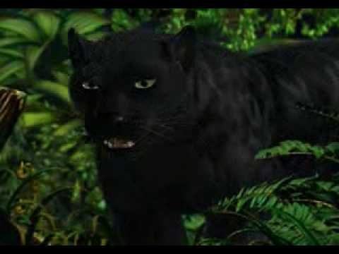 Thepanther Thepanther