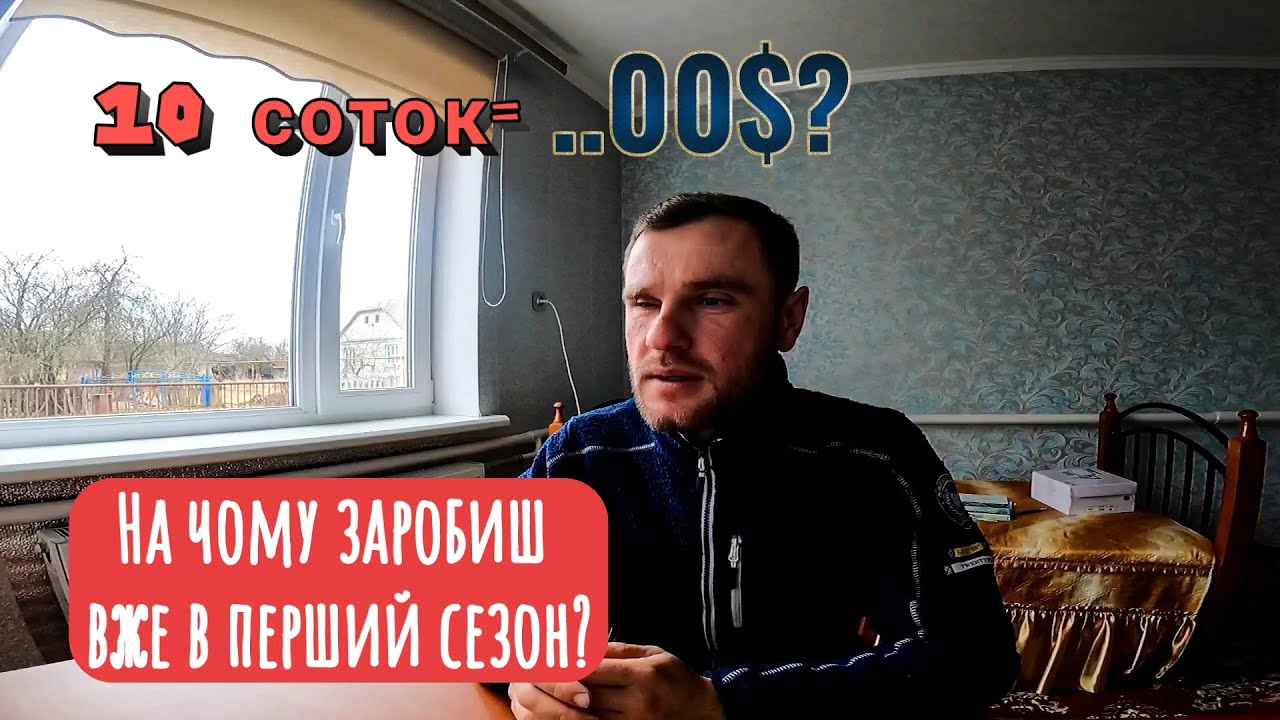 Що можна Заробити з 5-10 соток Вирощуючи на продаж у Відкритому Грунті?