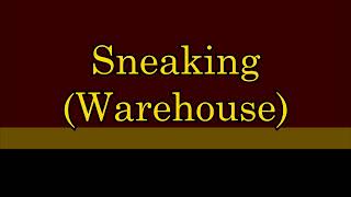 TUO - Sneaking in a Warehouse