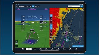 Pilot In Command - Decision Making & Inflight Safety