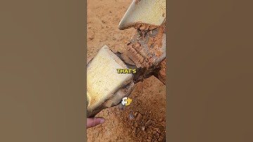 The CAT Specialty Tool...