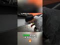 Mechanic Finds Mysterious Car Leak: The Radiator Nightmare! #shorts