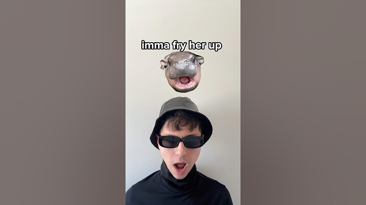 Moo Deng diss track “Deng Not Like Us” #MooDeng #disstrack #roast #rap