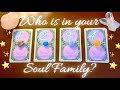 ✨💞Your SOUL FAMILY 🌏 and Where to Find Them💞  Pick a Card✨