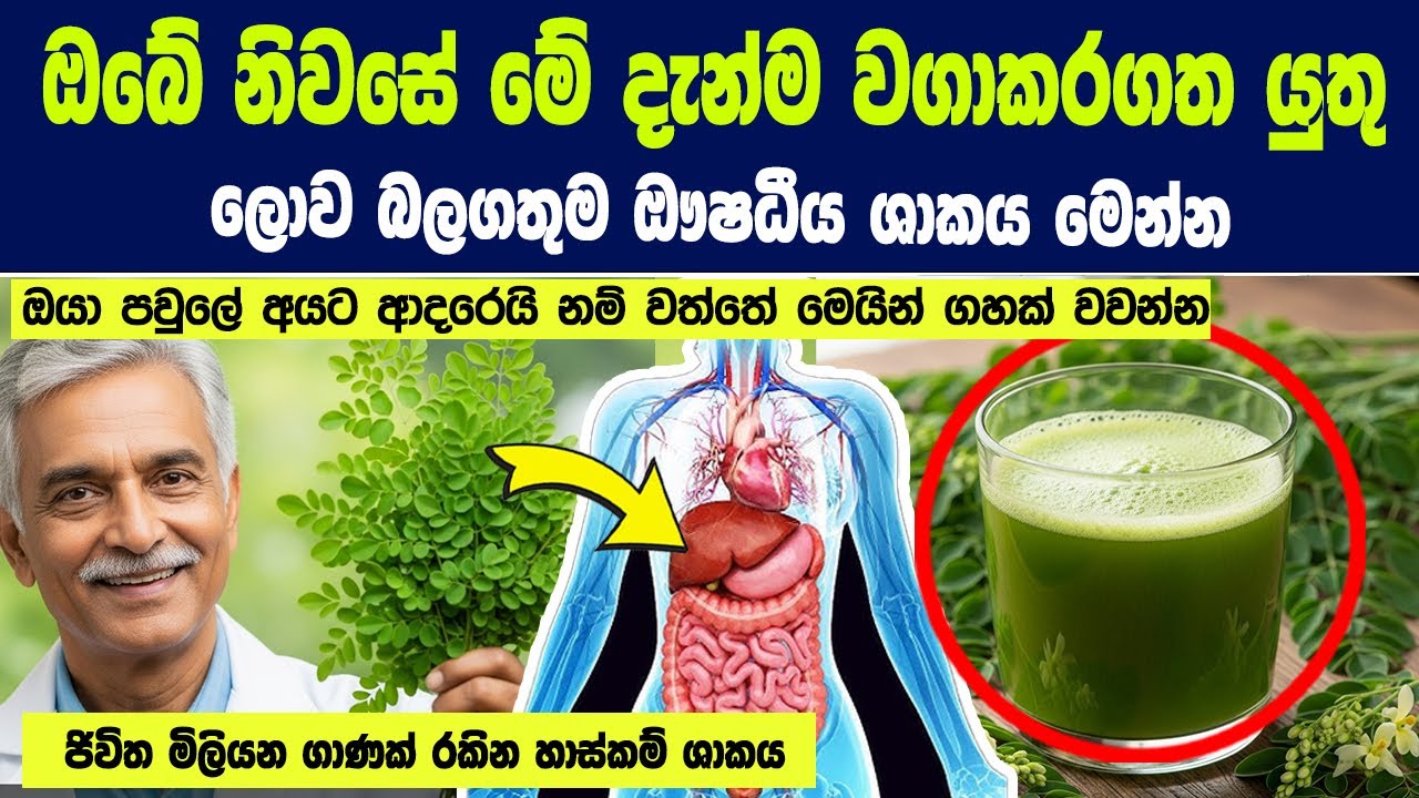 ඔබේ නිවසේ මේ දැන්ම වගාකරගත යුතු ලොව බලගතුම ඖෂධීය ශාකය -පවුලේ අයට ආදරෙයි නම් වත්තේ මෙයින් ගහක් වවන්න.