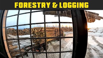 FDR Unloads His First Real Log Trailer! - Madill 2800 - Real Life Forestry & Logging - FDR Logging