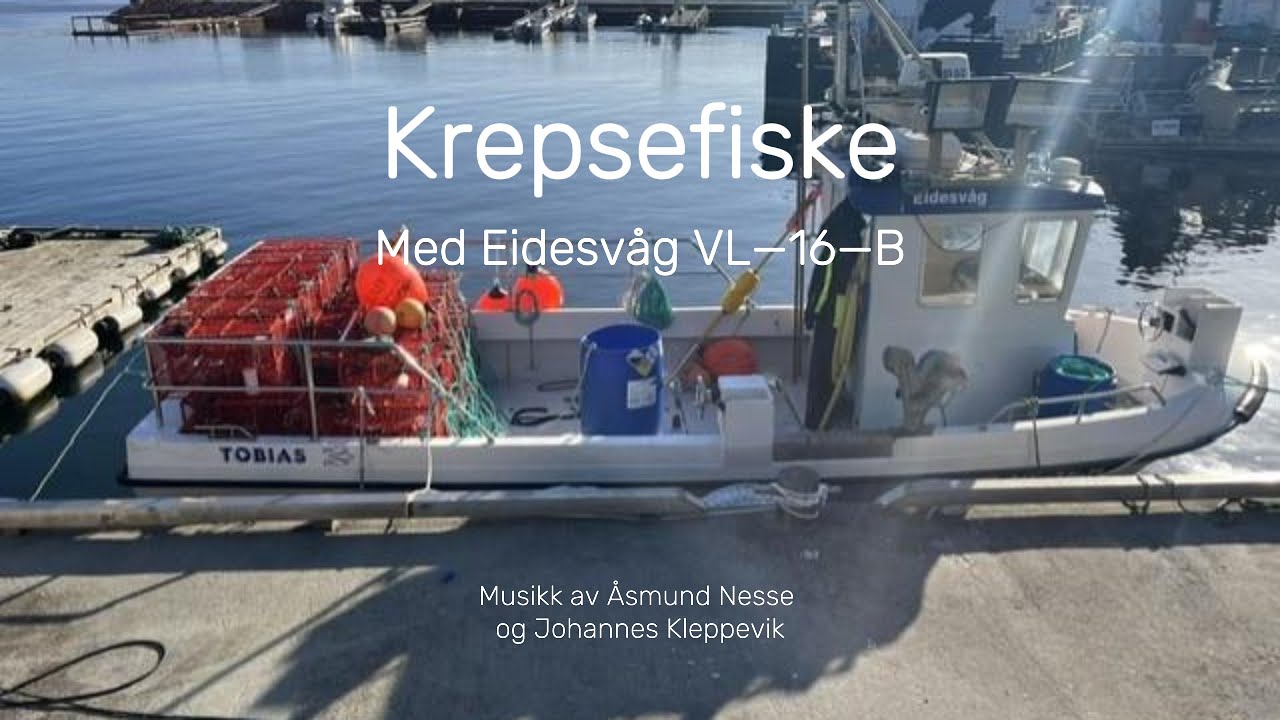 Krepsefiske Med Eidesvåg