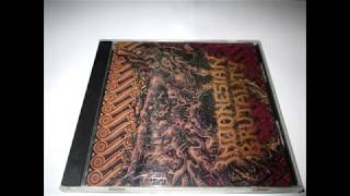 Rotten Corpse - Rotten Solid Brain