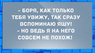 - Боря, как только тебя увижу, так сразу вспоминаю Яшу! Свежие анекдоты.