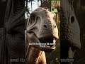 The Largest Living Creature Ever Was a Completely Harmless Dinosaur🌿 #shorts