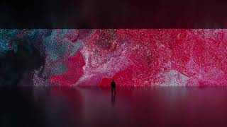 Optical Data Flow in Houdini | My Houdini Junk