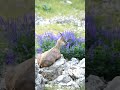 سروشتی جوانی کوردستان 💚